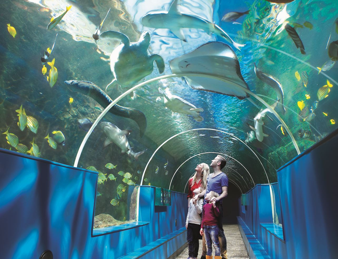 Visit Bournemouth Aquarium In UK Bournemouth Oceanarium